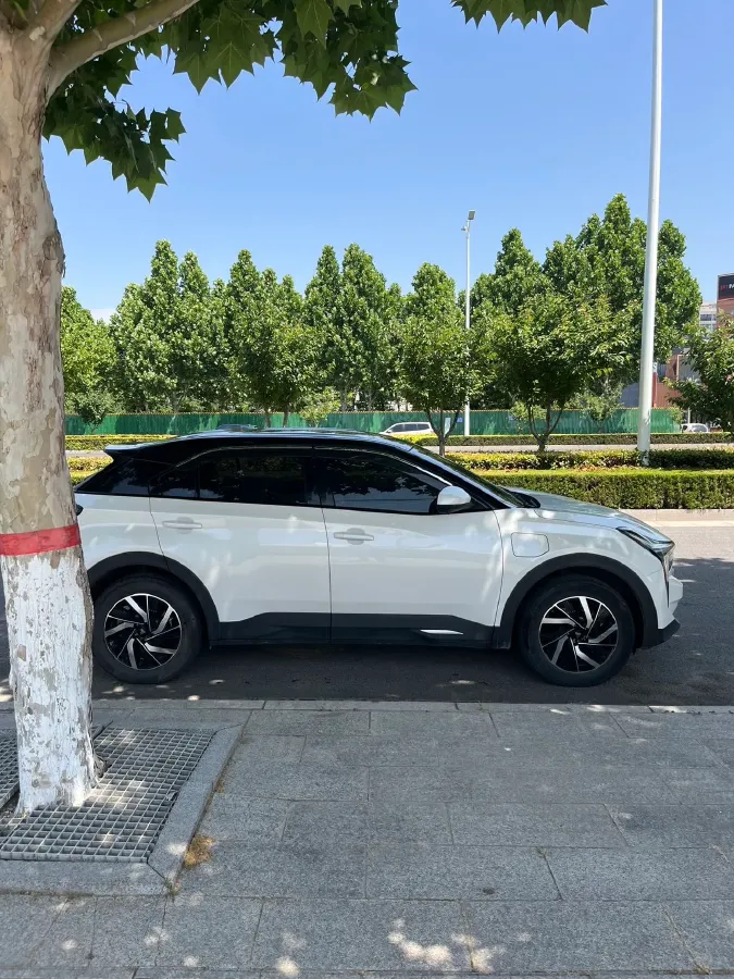 2021 Neta U BEV 54.34KWH,autocango,china used car exporter,china ev exporter,chinese used car exporter,chinese used ev exporter