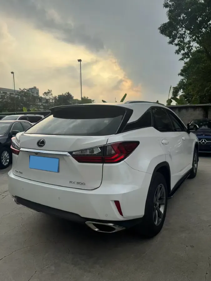 2020 Lexus RX 2.0T 238HP L4 6AT,autocango,china used car exporter,china ev exporter,chinese used car exporter,chinese used ev exporter