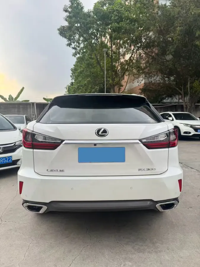 2020 Lexus RX 2.0T 238HP L4 6AT,autocango,china used car exporter,china ev exporter,chinese used car exporter,chinese used ev exporter
