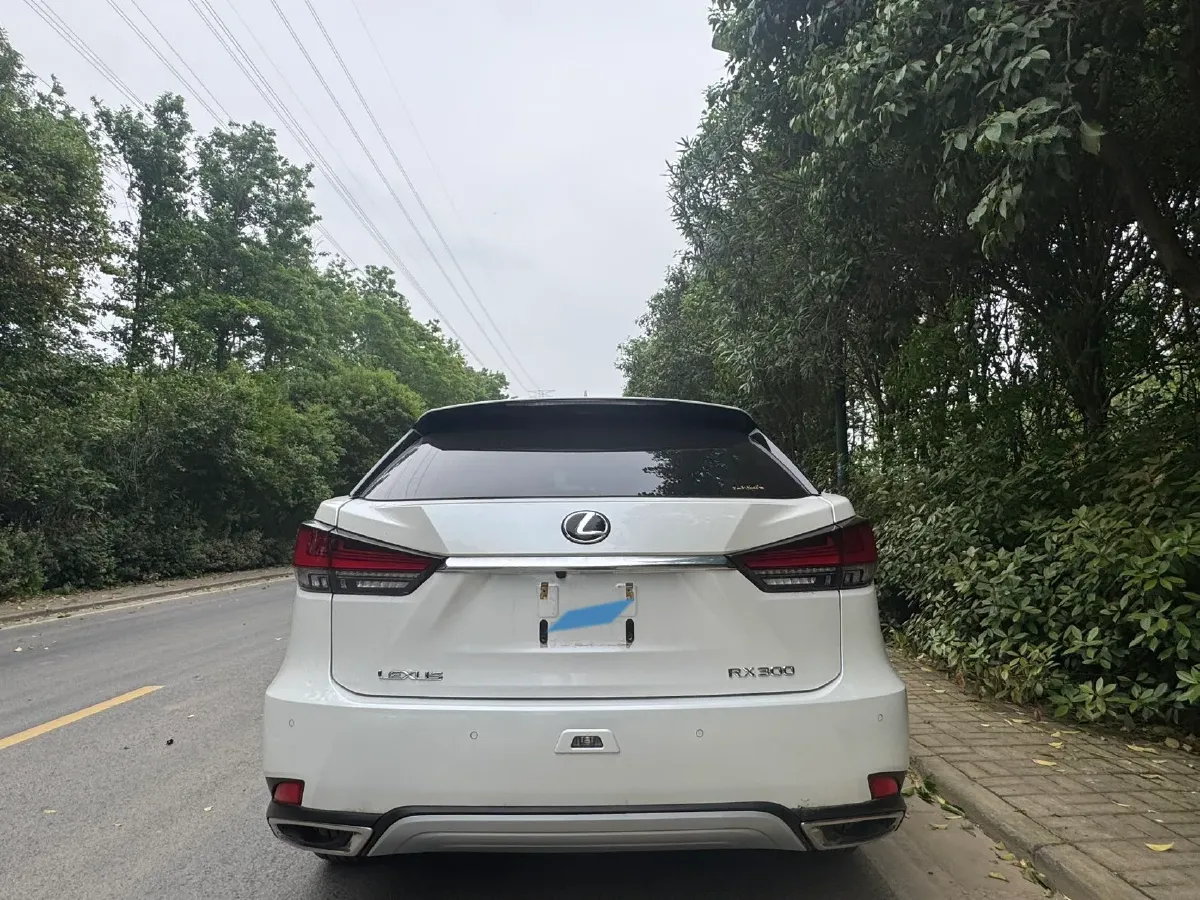 2020 Lexus RX 2.0T 231HP L4 6AT,autocango,china used car exporter,china ev exporter,chinese used car exporter,chinese used ev exporter