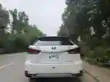 2020 Lexus RX 2.0T 231HP L4 6AT