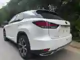 2020 Lexus RX 2.0T 231HP L4 6AT