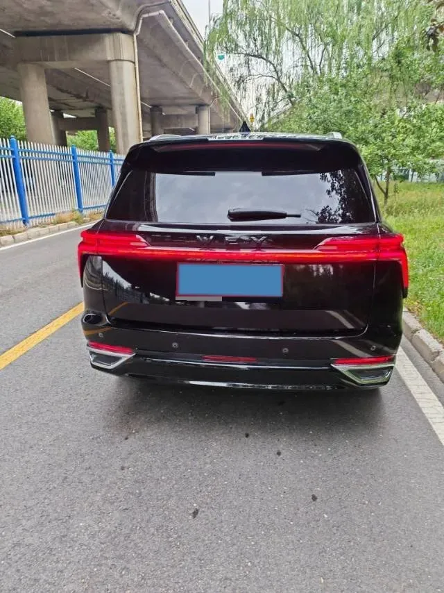 2023 WEY BlueMountain 1.5T 154HP L4 2DHT PHEV 44.5KWH,autocango,china used car exporter,china ev exporter,chinese used car exporter,chinese used ev exporter