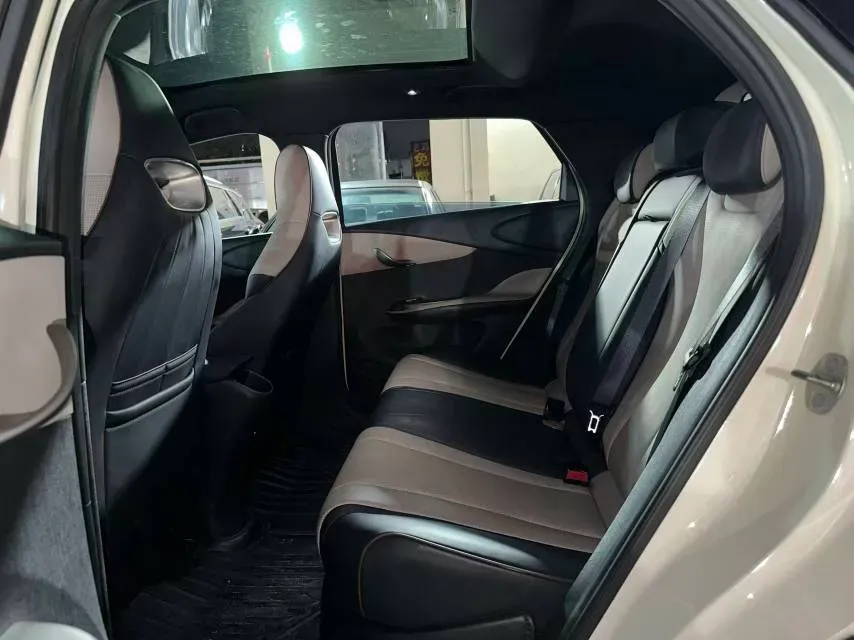 2023 BYD Dolphin BEV 44.928KWH,autocango,china used car exporter,china ev exporter,chinese used car exporter,chinese used ev exporter