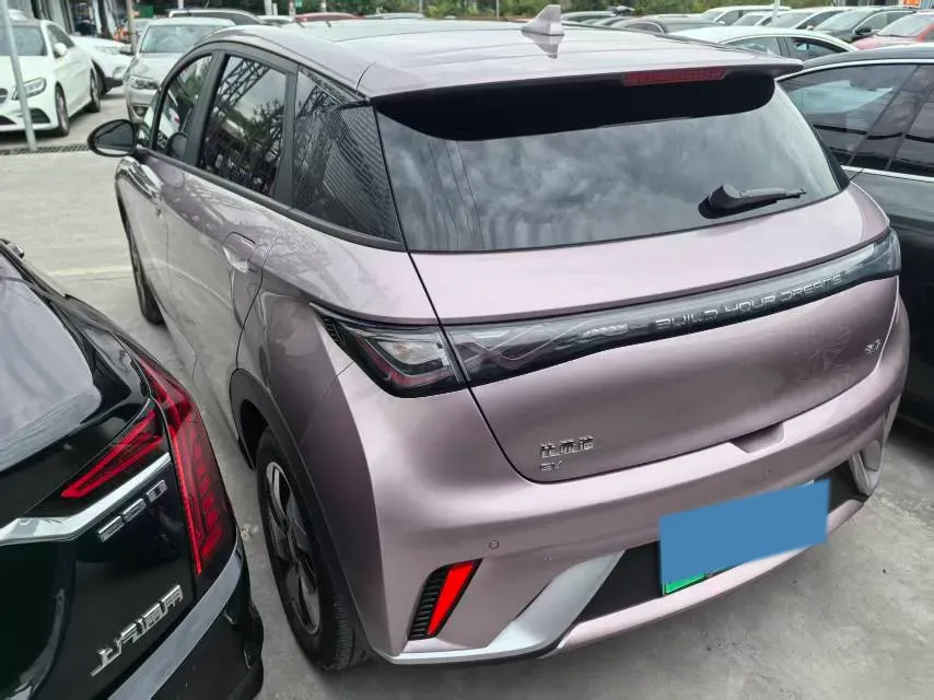 2024 BYD Dolphin BEV 44.928KWH,autocango,china used car exporter,china ev exporter,chinese used car exporter,chinese used ev exporter