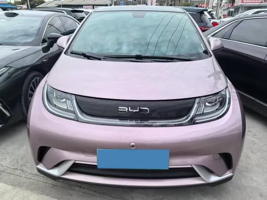 2024 BYD Dolphin BEV 44.928KWH,autocango,china used car exporter,china ev exporter,chinese used car exporter,chinese used ev exporter