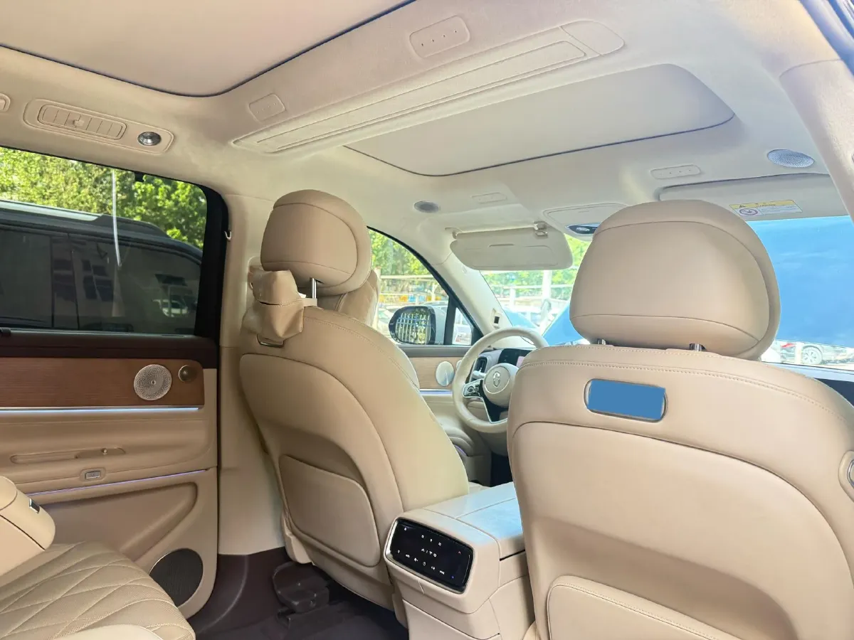2024 HIMA AITO M9 1.5T 152HP L4 REEV 52KWH,autocango,china used car exporter,china ev exporter,chinese used car exporter,chinese used ev exporter