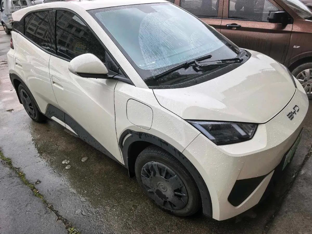 2025 BYD Seagull BEV 30.08KWH,autocango,china used car exporter,china ev exporter,chinese used car exporter,chinese used ev exporter