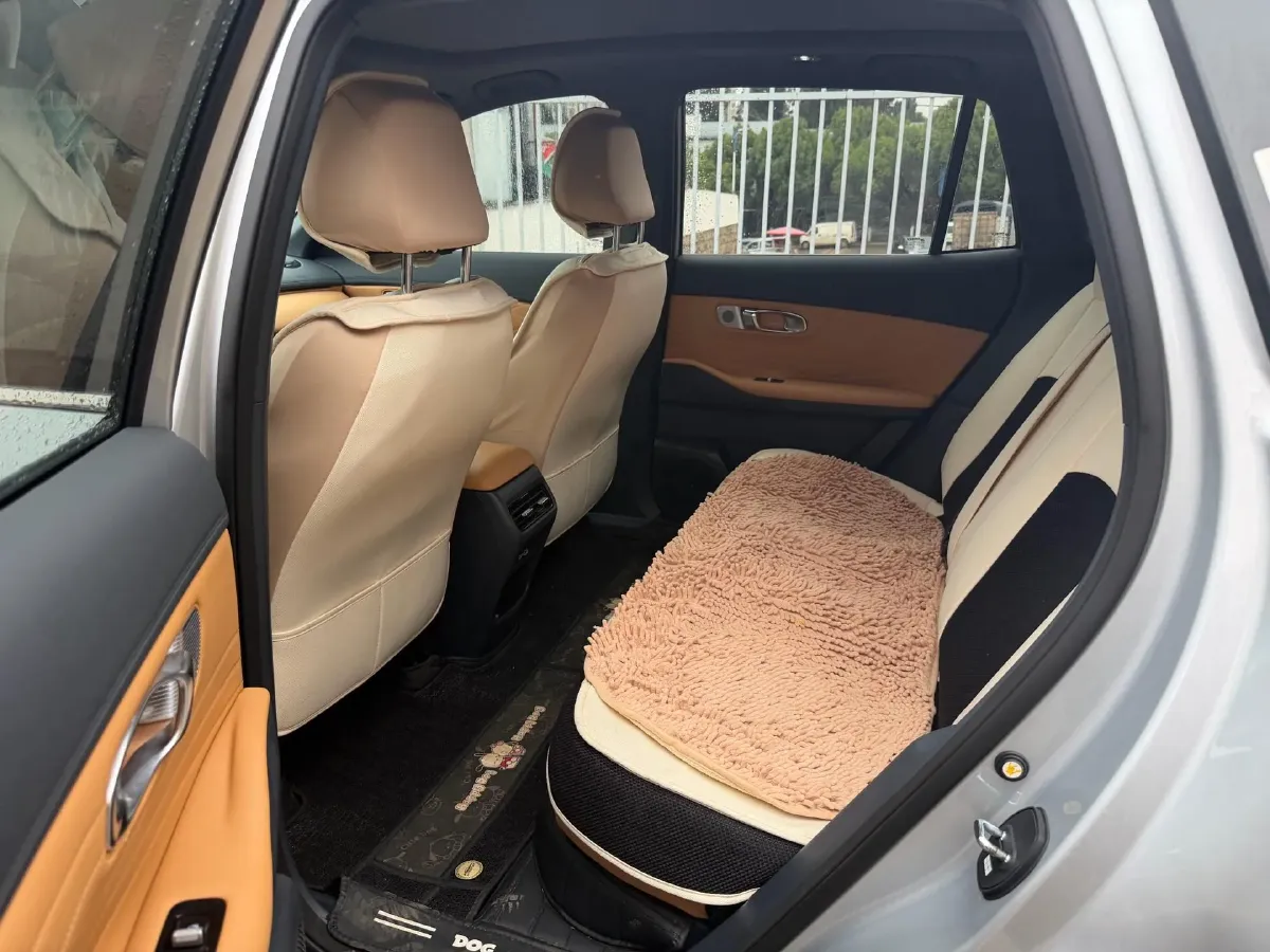 2025 BYD Sea Lion 05 DM-i 1.5L 101HP L4 E-CVT PHEV 18.3KWH,autocango,china used car exporter,china ev exporter,chinese used car exporter,chinese used ev exporter