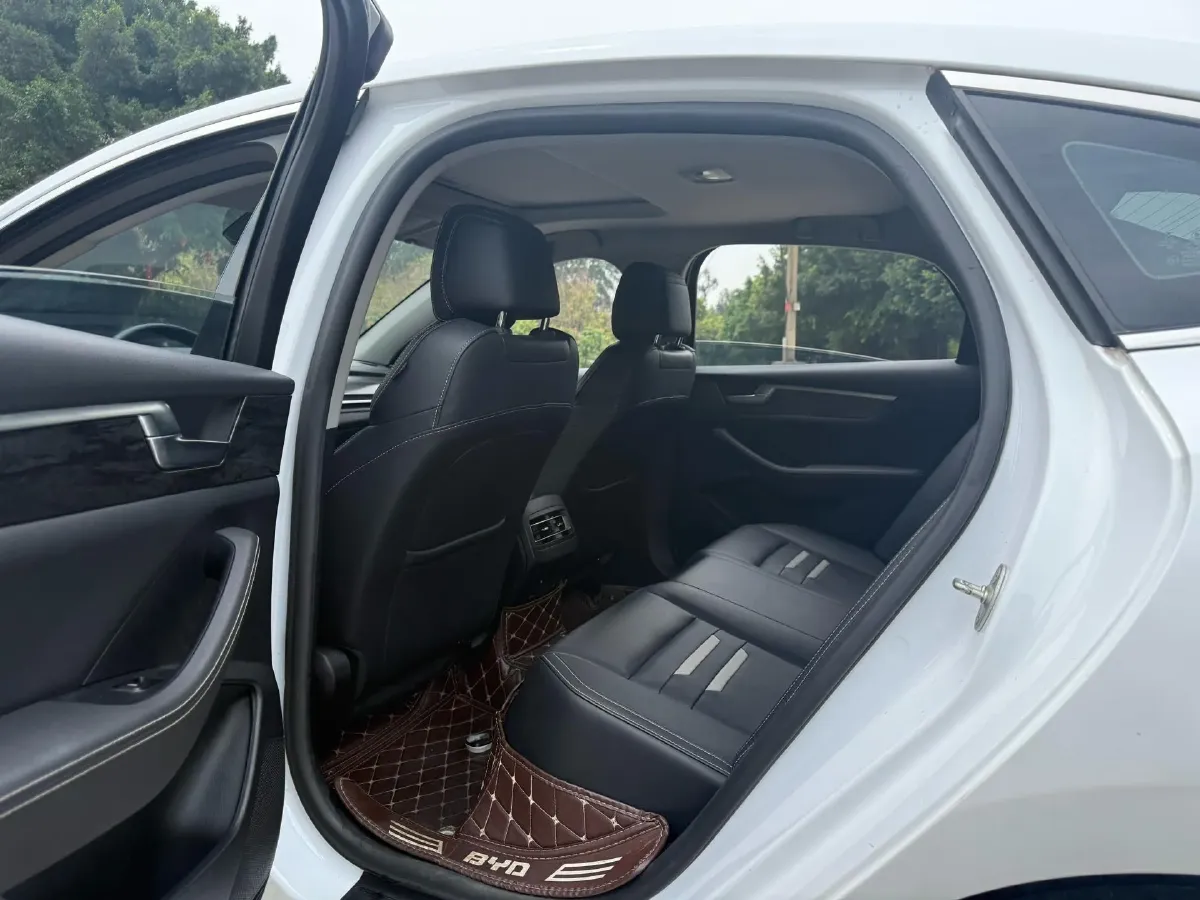 2019 BYD Qin Pro BEV 56.4KWH,autocango,china used car exporter,china ev exporter,chinese used car exporter,chinese used ev exporter