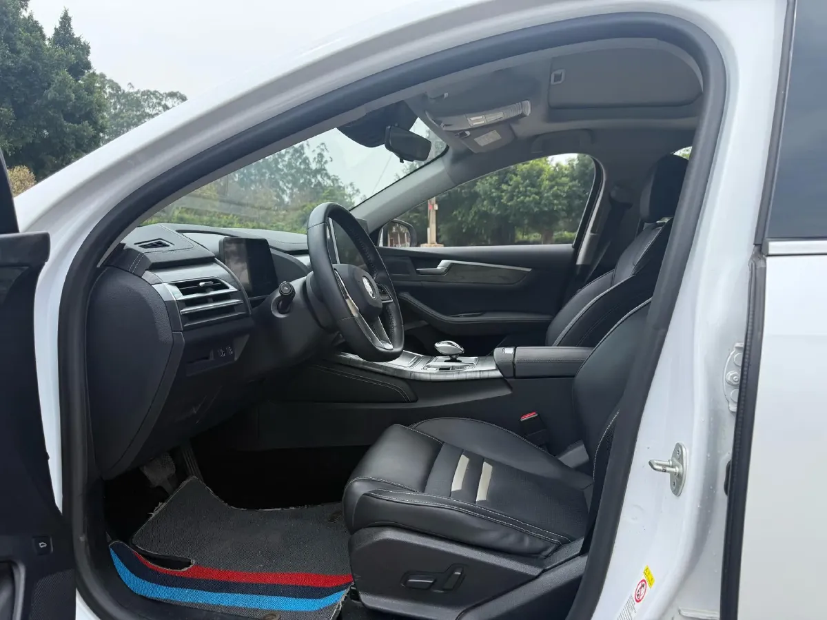 2019 BYD Qin Pro BEV 56.4KWH,autocango,china used car exporter,china ev exporter,chinese used car exporter,chinese used ev exporter