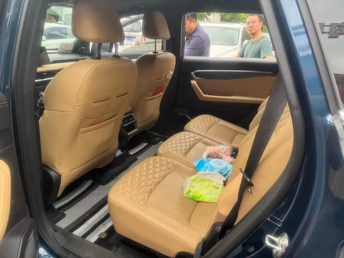2024 Geely Okavango L 2.0T 218HP L4 7DCT,autocango,china used car exporter,china ev exporter,chinese used car exporter,chinese used ev exporter