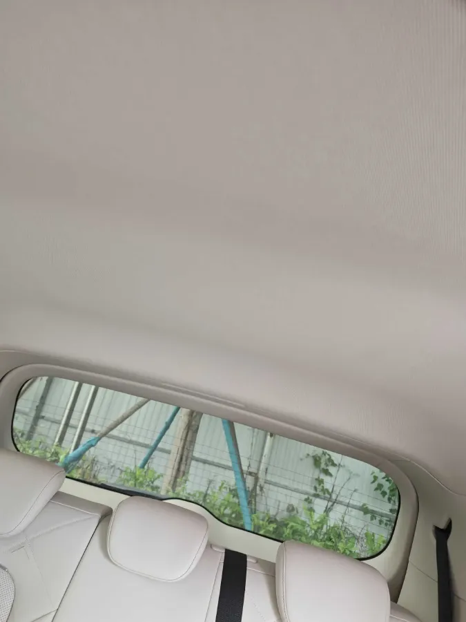 2025 Voyah Dream 1.5T 150HP L4 PHEV 41.7KWH,autocango,china used car exporter,china ev exporter,chinese used car exporter,chinese used ev exporter