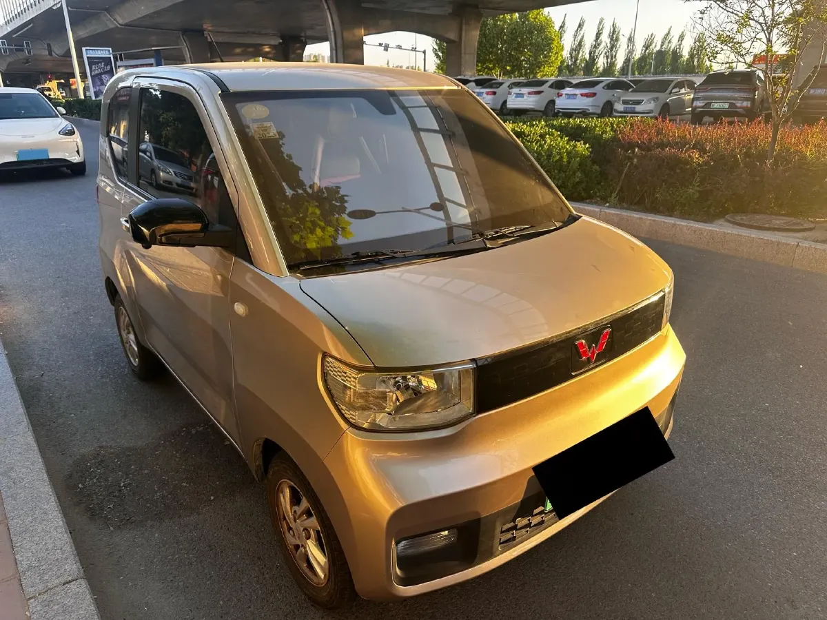 2020 WuLing HongGuang MINI EV BEV 9.3KWH,autocango,china used car exporter,china ev exporter,chinese used car exporter,chinese used ev exporter