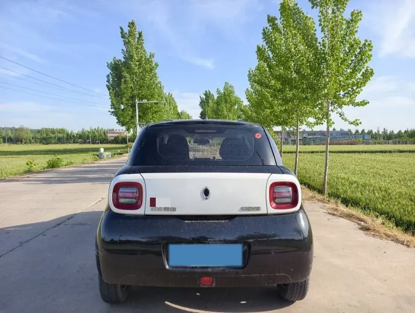 2021 Ora BlackCat BEV 28.5KWH,autocango,china used car exporter,china ev exporter,chinese used car exporter,chinese used ev exporter