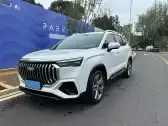 2024 GEELY OKAVANGO L,autocango,china used car exporter,china ev exporter,chinese used car exporter,chinese used ev exporter