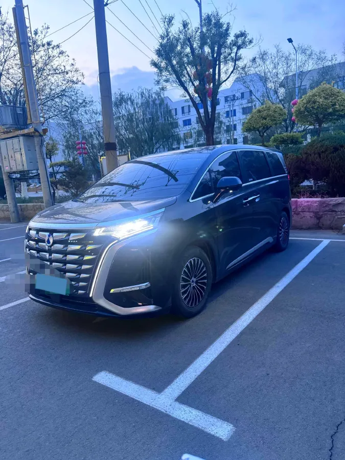 2024 Denza D9 1.5T 139HP L4 E-CVT PHEV 40KWH,autocango,china used car exporter,china ev exporter,chinese used car exporter,chinese used ev exporter