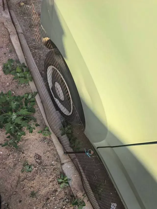 2021 WuLing HongGuang MINI EV BEV 9.3KWH,autocango,china used car exporter,china ev exporter,chinese used car exporter,chinese used ev exporter