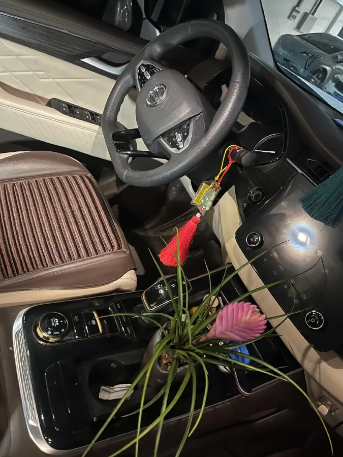 2022 Dongfeng RuiQi 7 2.3T 166HP L4 8AT,autocango,china used car exporter,china ev exporter,chinese used car exporter,chinese used ev exporter