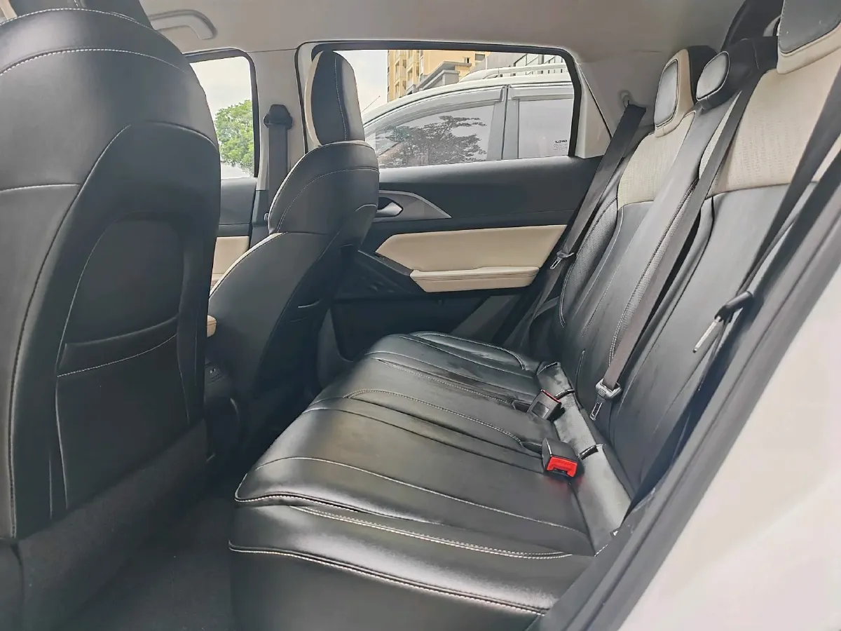 2024 Geometry E BEV 39.3KWH,autocango,china used car exporter,china ev exporter,chinese used car exporter,chinese used ev exporter