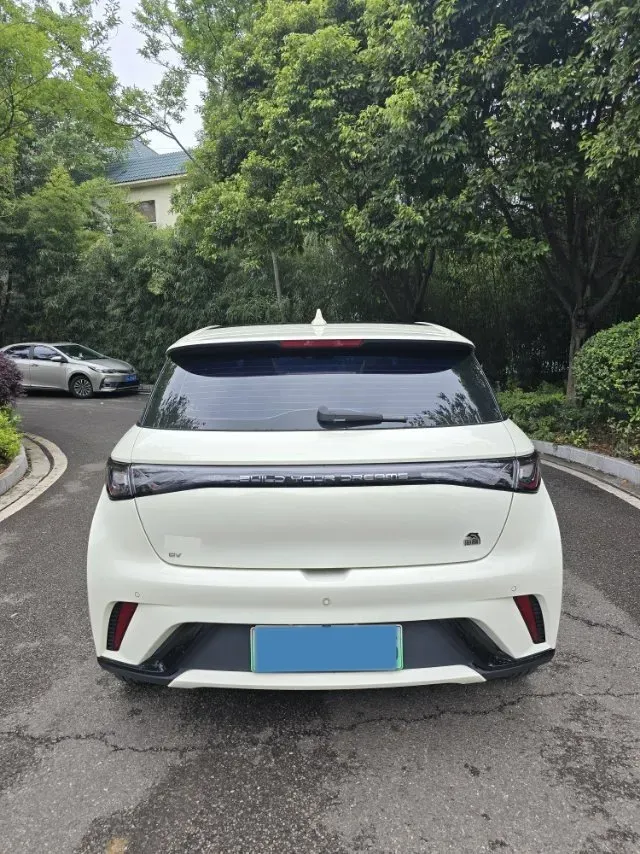2023 BYD Dolphin BEV 44.928KWH,autocango,china used car exporter,china ev exporter,chinese used car exporter,chinese used ev exporter