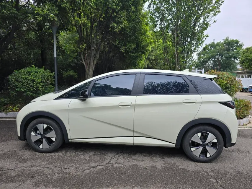 2023 BYD Dolphin BEV 44.928KWH,autocango,china used car exporter,china ev exporter,chinese used car exporter,chinese used ev exporter