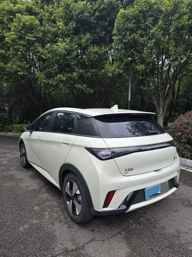 2023 BYD Dolphin BEV 44.928KWH,autocango,china used car exporter,china ev exporter,chinese used car exporter,chinese used ev exporter