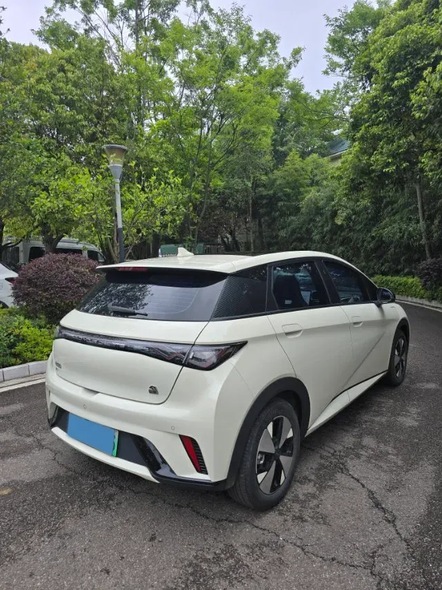2023 BYD Dolphin BEV 44.928KWH,autocango,china used car exporter,china ev exporter,chinese used car exporter,chinese used ev exporter