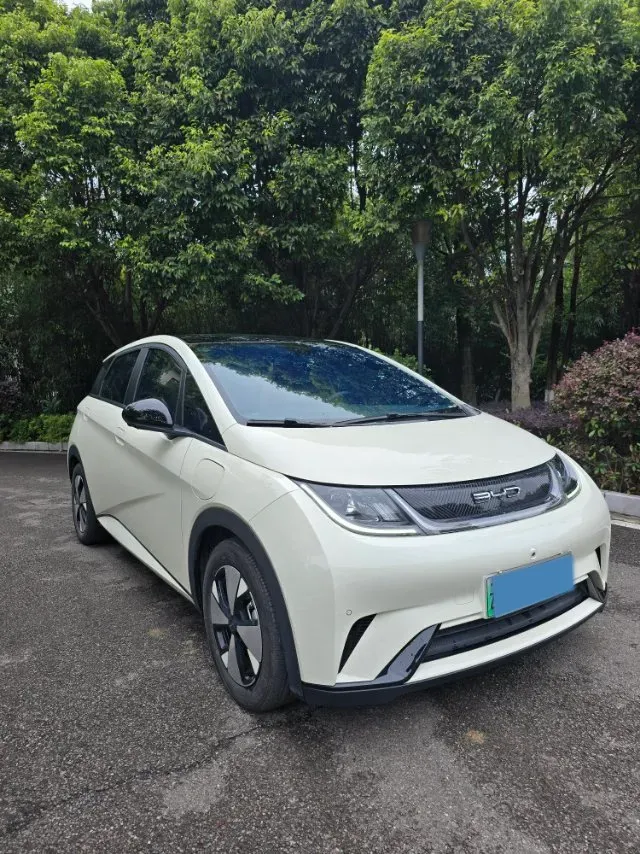 2023 BYD Dolphin BEV 44.928KWH,autocango,china used car exporter,china ev exporter,chinese used car exporter,chinese used ev exporter