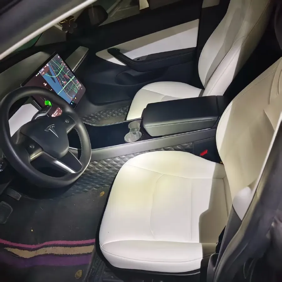 2020 Tesla Model 3 BEV 55KWH,autocango,china used car exporter,china ev exporter,chinese used car exporter,chinese used ev exporter