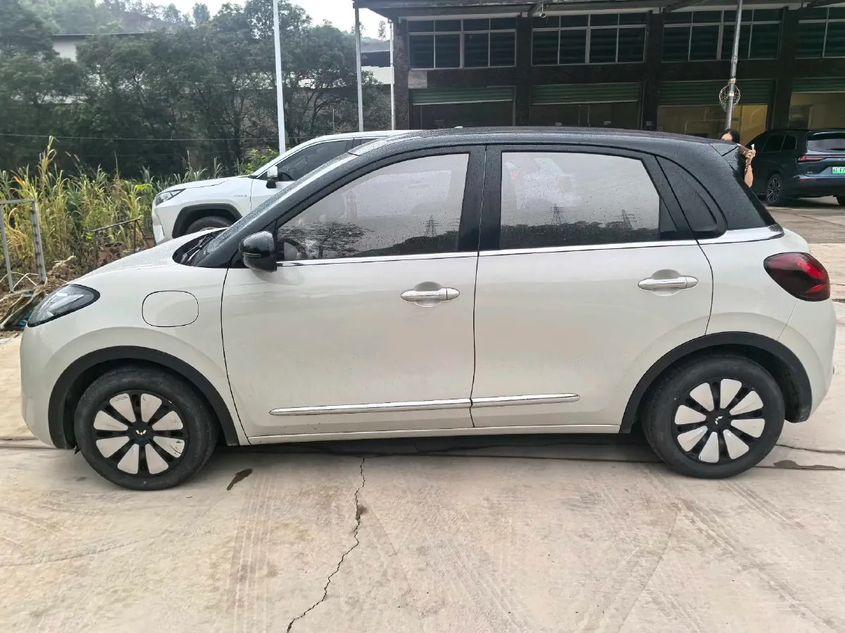 2023 WuLing BinGuo BEV 31.9KWH,autocango,china used car exporter,china ev exporter,chinese used car exporter,chinese used ev exporter