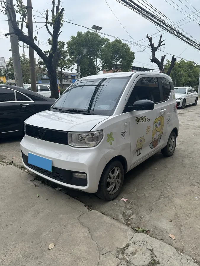 2021 WuLing HongGuang MINI EV BEV 9KWH,autocango,china used car exporter,china ev exporter,chinese used car exporter,chinese used ev exporter