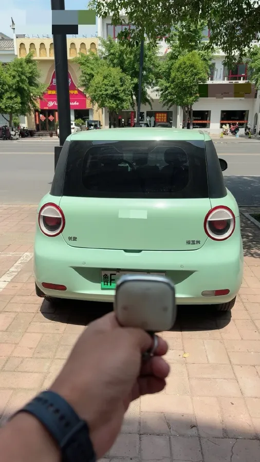 2022 Levdeo Mango BEV 17.28KWH,autocango,china used car exporter,china ev exporter,chinese used car exporter,chinese used ev exporter