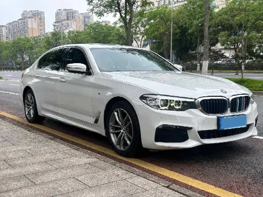 2020 BMW 5 Series 2.0T 184HP L4 8AT,autocango,china used car exporter,china ev exporter,chinese used car exporter,chinese used ev exporter