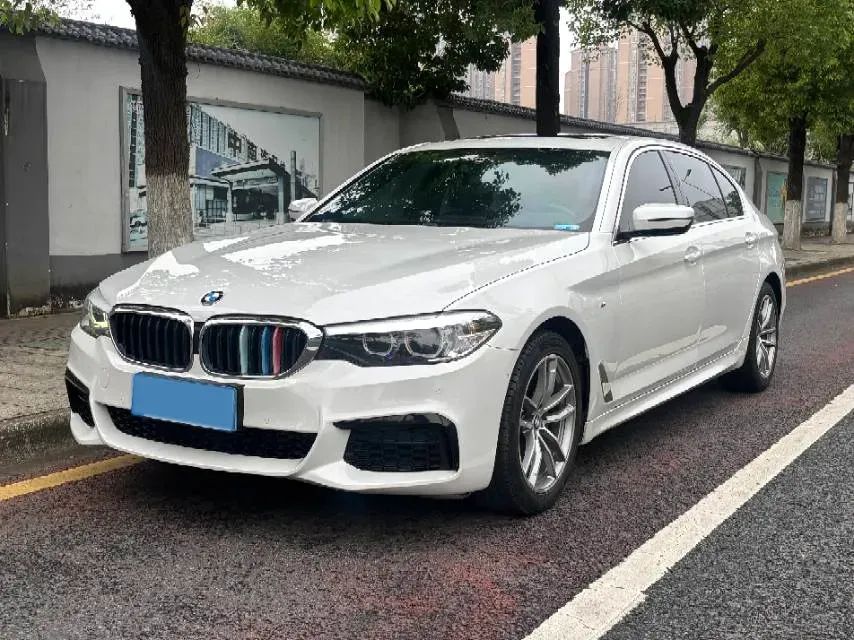 2020 BMW 5 Series 2.0T 184HP L4 8AT,autocango,china used car exporter,china ev exporter,chinese used car exporter,chinese used ev exporter