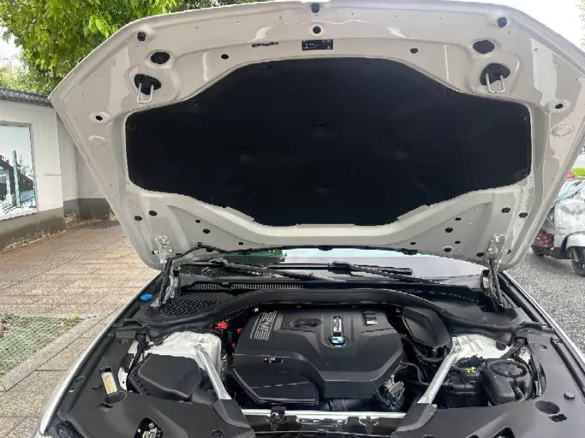 2020 BMW 5 Series 2.0T 184HP L4 8AT,autocango,china used car exporter,china ev exporter,chinese used car exporter,chinese used ev exporter