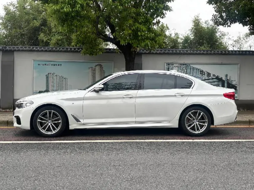 2020 BMW 5 Series 2.0T 184HP L4 8AT,autocango,china used car exporter,china ev exporter,chinese used car exporter,chinese used ev exporter