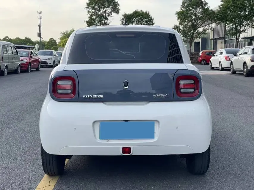 2021 Ora BlackCat BEV 30.3KWH,autocango,china used car exporter,china ev exporter,chinese used car exporter,chinese used ev exporter