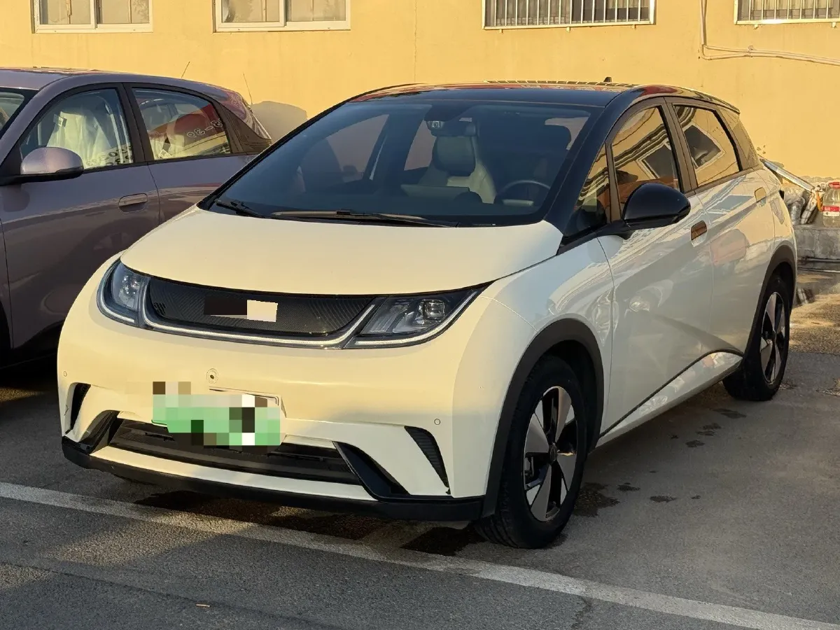2023 BYD Dolphin BEV 44.928KWH,autocango,china used car exporter,china ev exporter,chinese used car exporter,chinese used ev exporter