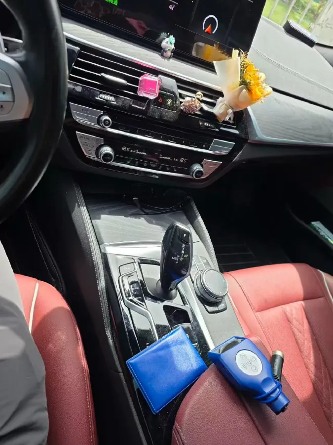 2023 BMW 5 Series 2.0T 245HP L4 8AT,autocango,china used car exporter,china ev exporter,chinese used car exporter,chinese used ev exporter