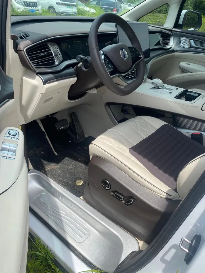 2024 Denza D9 1.5T 139HP L4 E-CVT PHEV 40KWH,autocango,china used car exporter,china ev exporter,chinese used car exporter,chinese used ev exporter