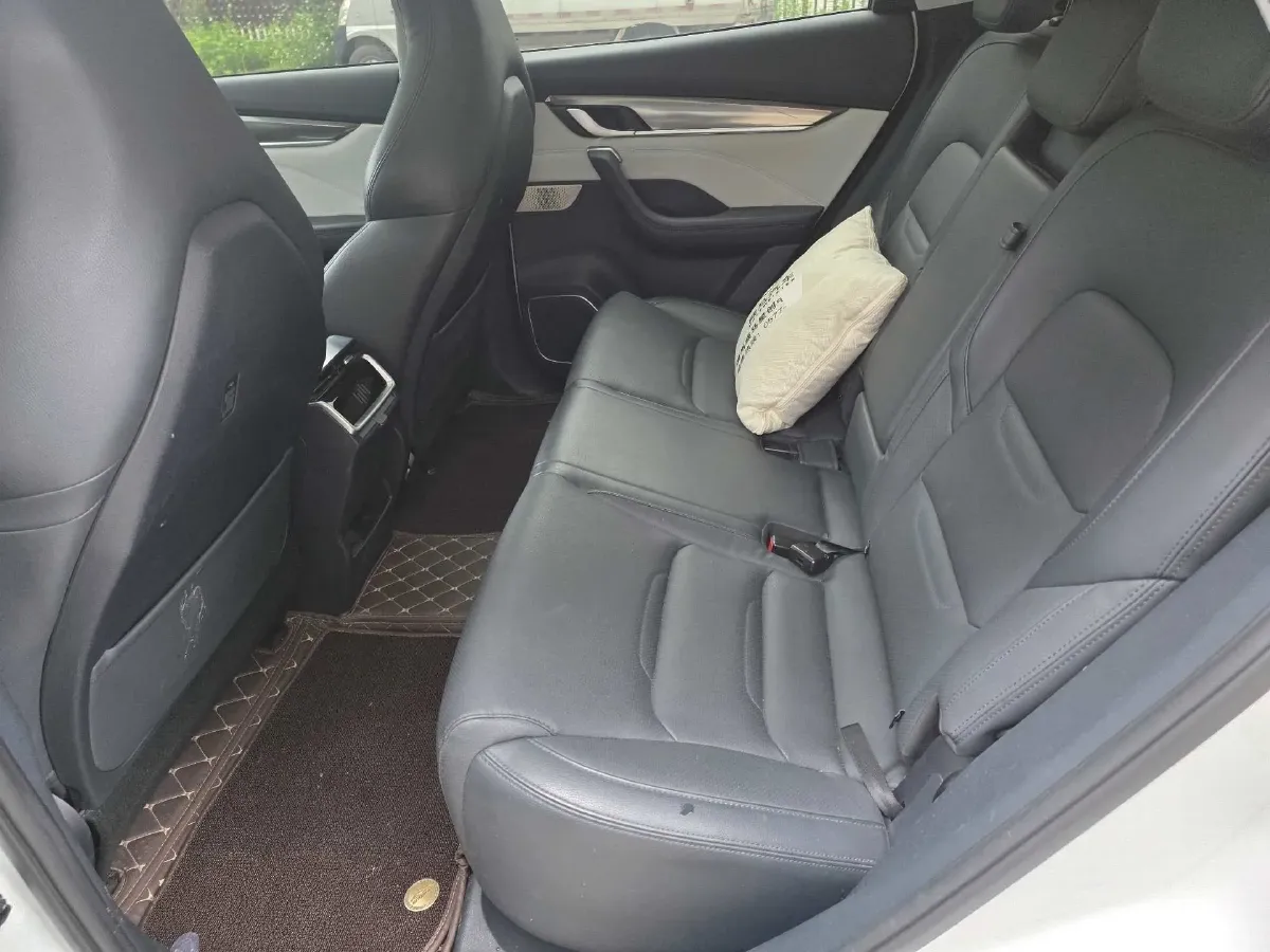 2021 Weltmeister EX5 BEV 52.704KWH,autocango,china used car exporter,china ev exporter,chinese used car exporter,chinese used ev exporter