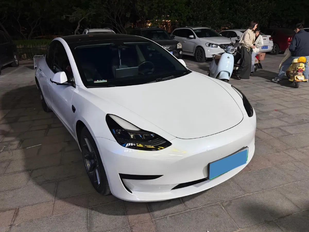 2021 Tesla Model 3 BEV 55KWH,autocango,china used car exporter,china ev exporter,chinese used car exporter,chinese used ev exporter