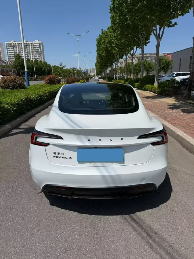 2025 Tesla Model 3 BEV,autocango,china used car exporter,china ev exporter,chinese used car exporter,chinese used ev exporter