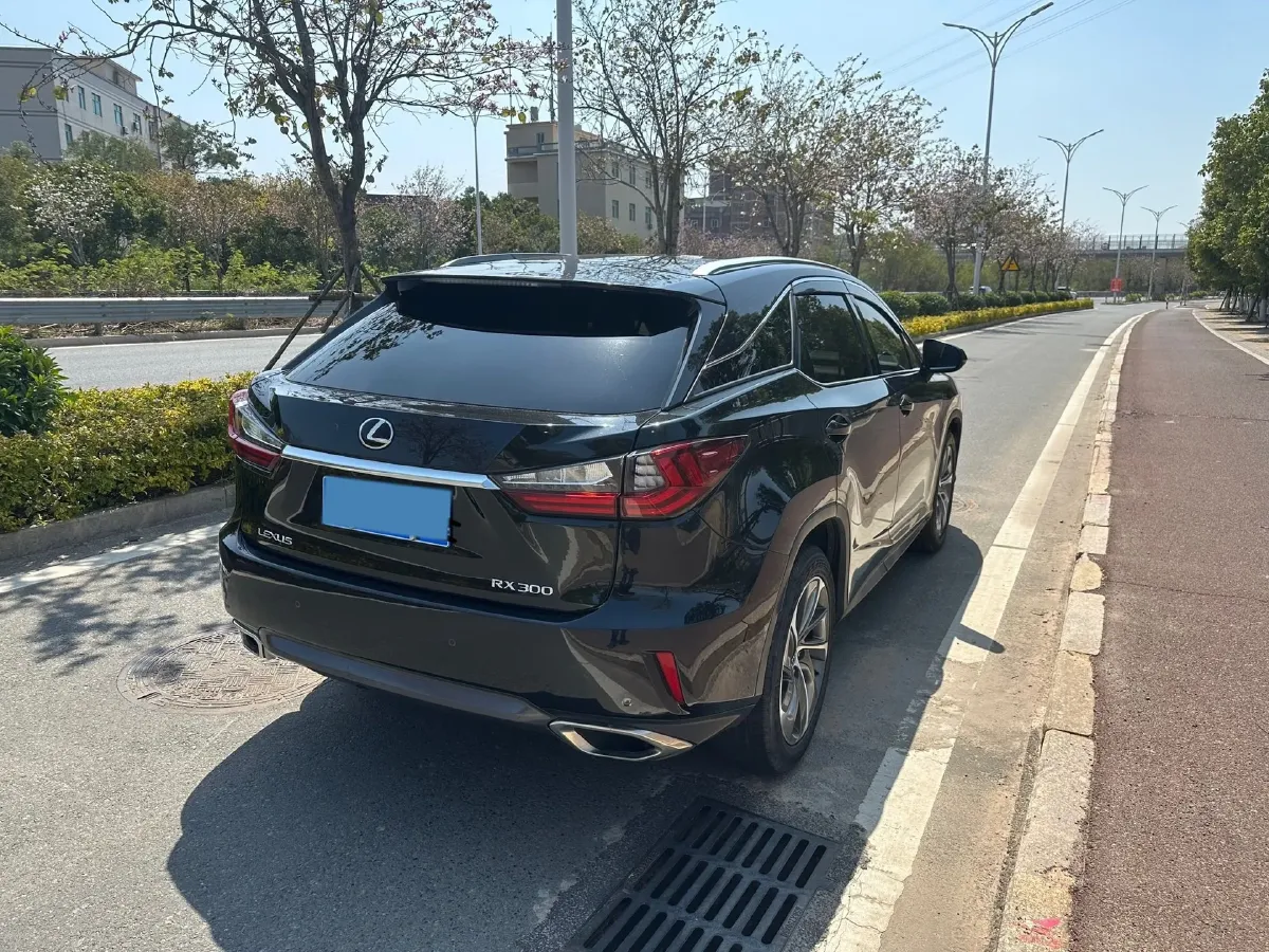 2016 Lexus RX 2.0T 238HP L4 6AT,autocango,china used car exporter,china ev exporter,chinese used car exporter,chinese used ev exporter