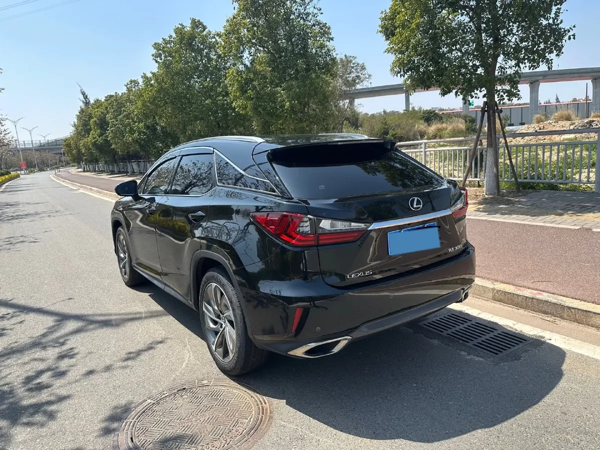 2016 Lexus RX 2.0T 238HP L4 6AT,autocango,china used car exporter,china ev exporter,chinese used car exporter,chinese used ev exporter