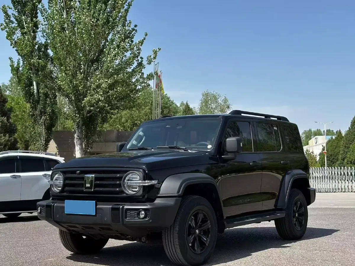 2021 Tank 300 2.0T 227HP L4 8AT,autocango,china used car exporter,china ev exporter,chinese used car exporter,chinese used ev exporter