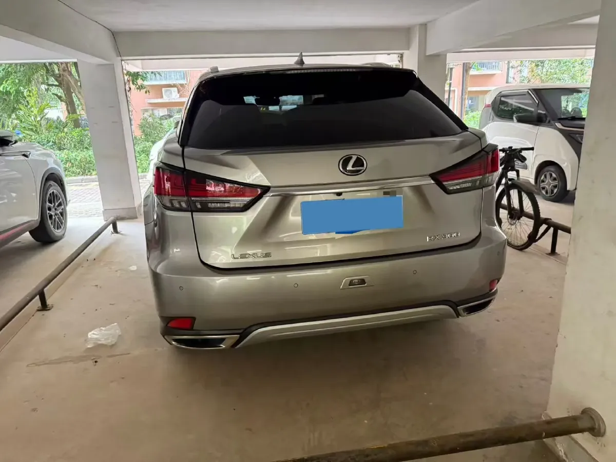 2020 Lexus RX 2.0T 231HP L4 6AT,autocango,china used car exporter,china ev exporter,chinese used car exporter,chinese used ev exporter