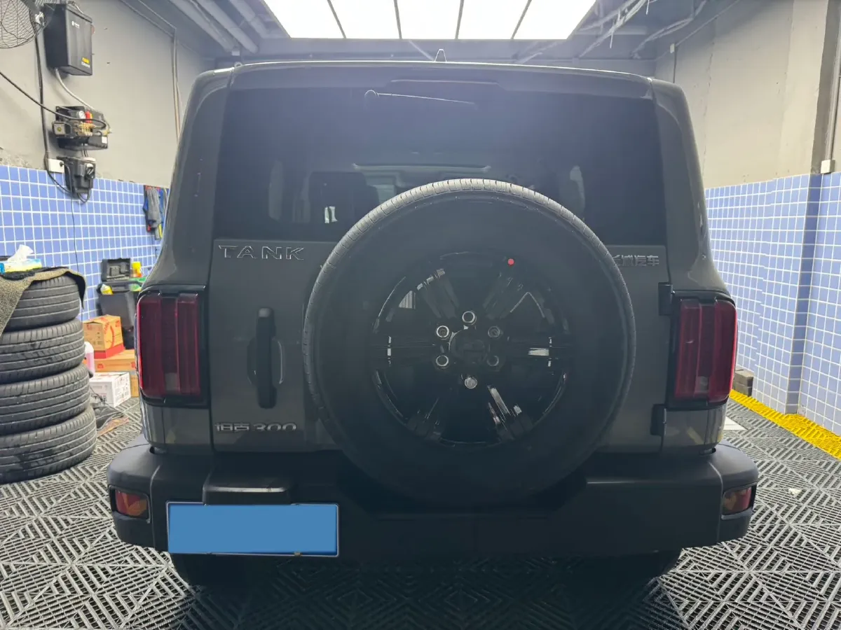 2023 Tank 300 2.0T 227HP L4 8AT,autocango,china used car exporter,china ev exporter,chinese used car exporter,chinese used ev exporter