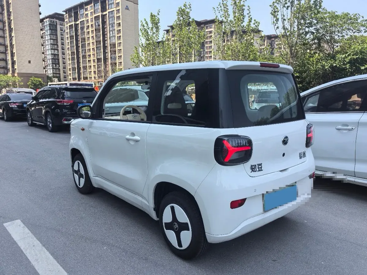 2024 ZD Rainbow BEV 17.3KWH,autocango,china used car exporter,china ev exporter,chinese used car exporter,chinese used ev exporter